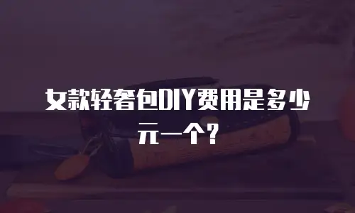 女款轻奢包DIY费用是多少元一个？
