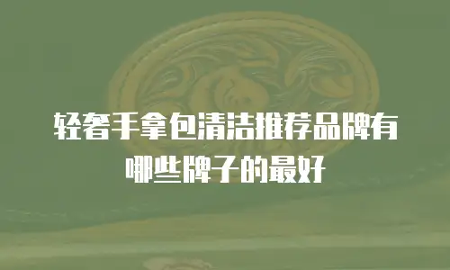 轻奢手拿包清洁推荐品牌有哪些牌子的最好