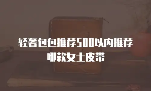 轻奢包包推荐500以内推荐哪款女士皮带