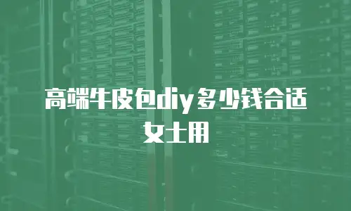 高端牛皮包diy多少钱合适女士用
