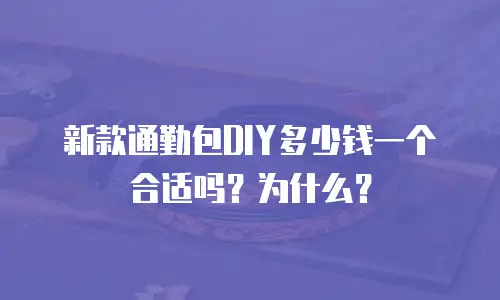 新款通勤包DIY多少钱一个合适吗？为什么？