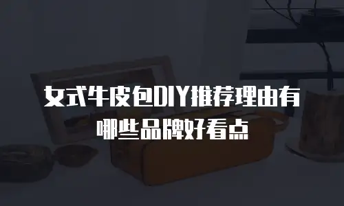 女式牛皮包DIY推荐理由有哪些品牌好看点