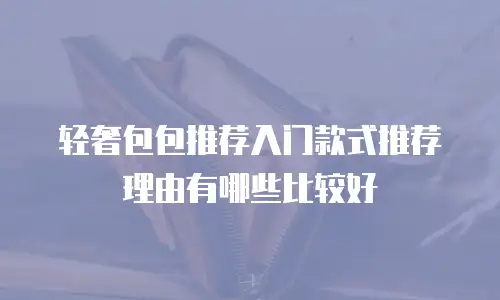 轻奢包包推荐入门款式推荐理由有哪些比较好