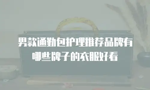 男款通勤包护理推荐品牌有哪些牌子的衣服好看