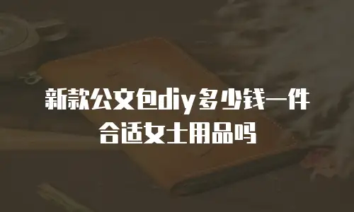 新款公文包diy多少钱一件合适女士用品吗