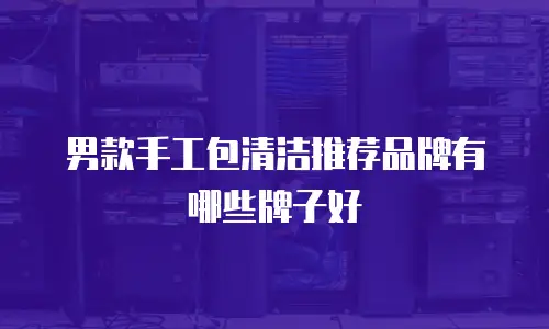 男款手工包清洁推荐品牌有哪些牌子好