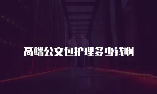 高端公文包护理多少钱啊