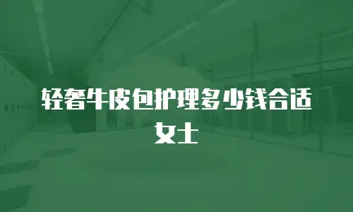 轻奢牛皮包护理多少钱合适女士