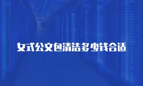 女式公文包清洁多少钱合适