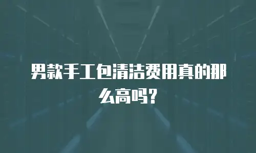 男款手工包清洁费用真的那么高吗？