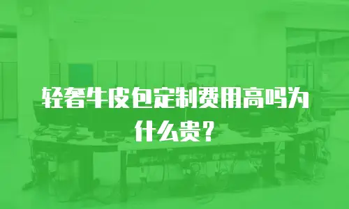 轻奢牛皮包定制费用高吗为什么贵？