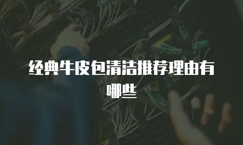 经典牛皮包清洁推荐理由有哪些