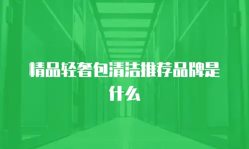 精品轻奢包清洁推荐品牌是什么