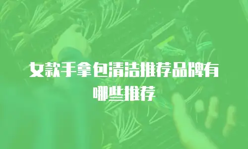 女款手拿包清洁推荐品牌有哪些推荐