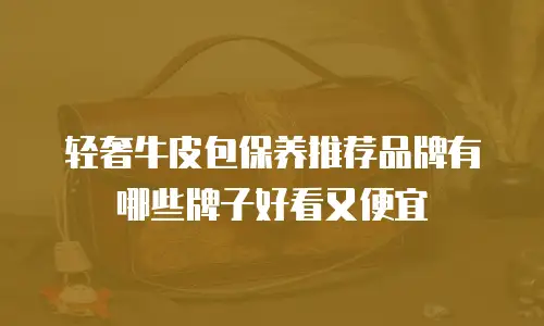 轻奢牛皮包保养推荐品牌有哪些牌子好看又便宜