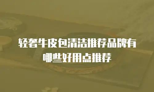 轻奢牛皮包清洁推荐品牌有哪些好用点推荐