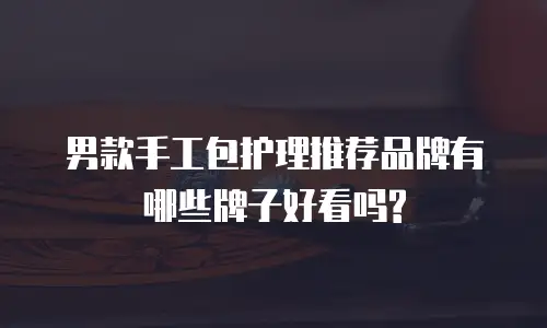 男款手工包护理推荐品牌有哪些牌子好看吗?