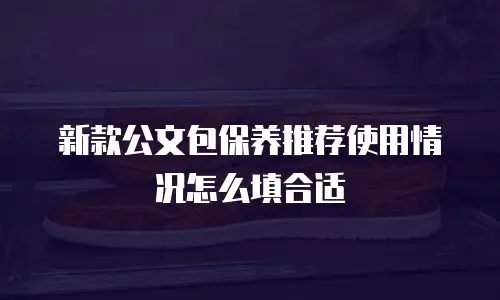 新款公文包保养推荐使用情况怎么填合适