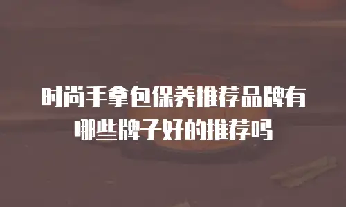时尚手拿包保养推荐品牌有哪些牌子好的推荐吗