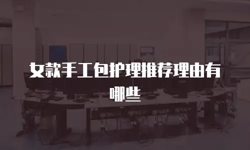 女款手工包护理推荐理由有哪些