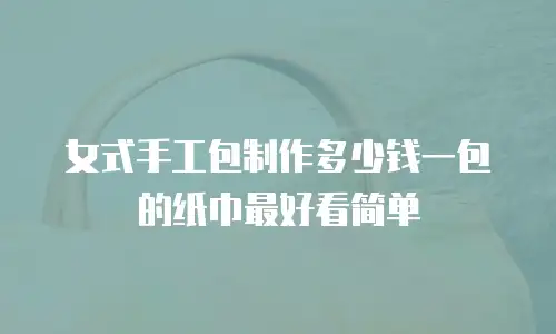女式手工包制作多少钱一包的纸巾最好看简单