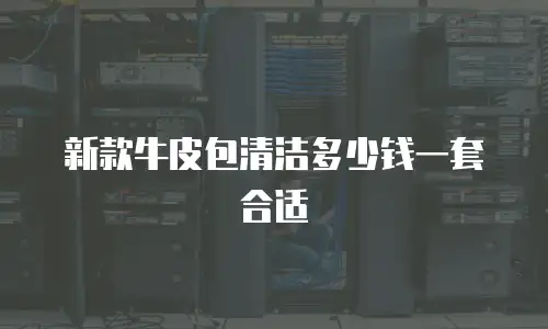 新款牛皮包清洁多少钱一套合适
