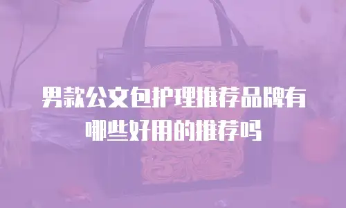 男款公文包护理推荐品牌有哪些好用的推荐吗
