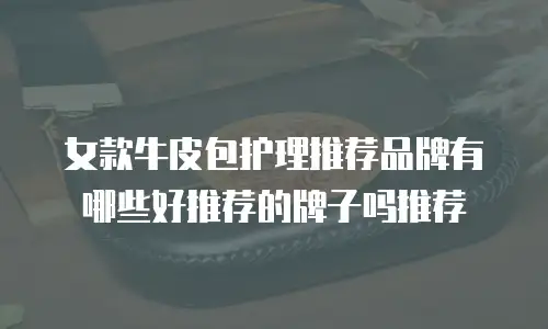 女款牛皮包护理推荐品牌有哪些好推荐的牌子吗推荐
