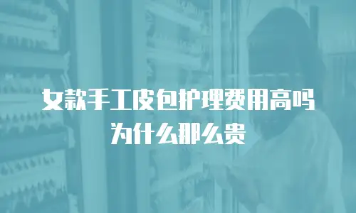 女款手工皮包护理费用高吗为什么那么贵