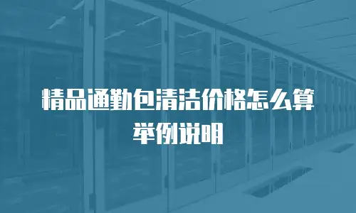 精品通勤包清洁价格怎么算举例说明