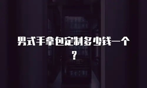 男式手拿包定制多少钱一个？