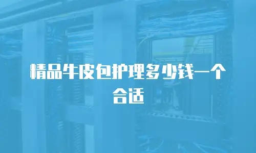 精品牛皮包护理多少钱一个合适