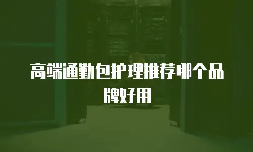 高端通勤包护理推荐哪个品牌好用