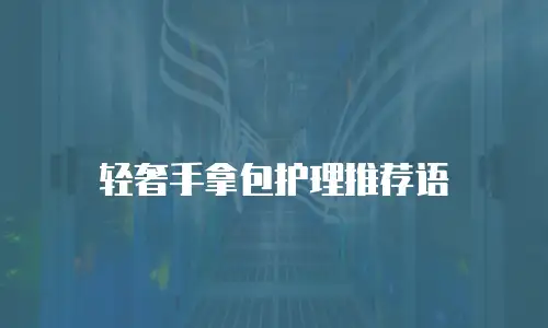 轻奢手拿包护理推荐语