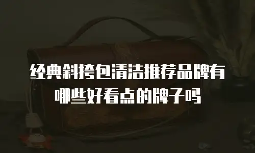 经典斜挎包清洁推荐品牌有哪些好看点的牌子吗