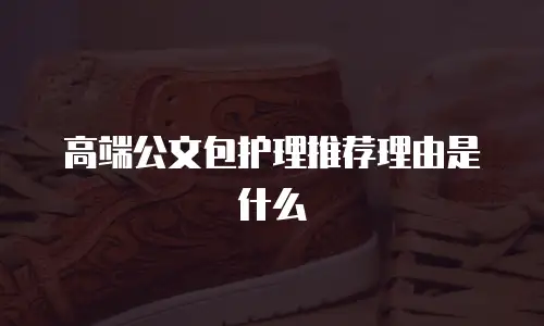 高端公文包护理推荐理由是什么