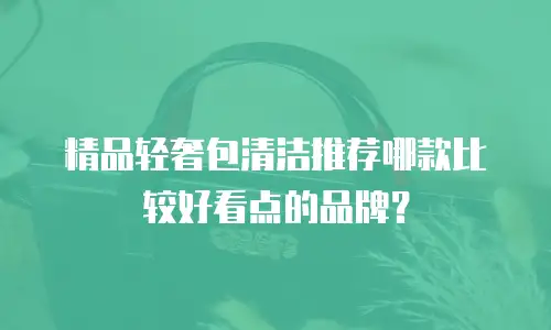 精品轻奢包清洁推荐哪款比较好看点的品牌？