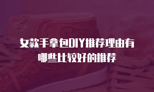 女款手拿包DIY推荐理由有哪些比较好的推荐