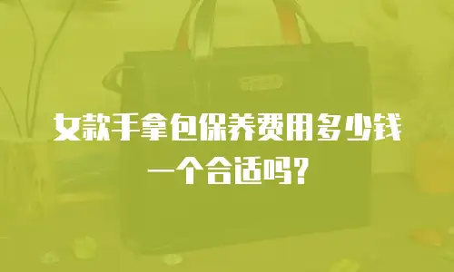 女款手拿包保养费用多少钱一个合适吗？