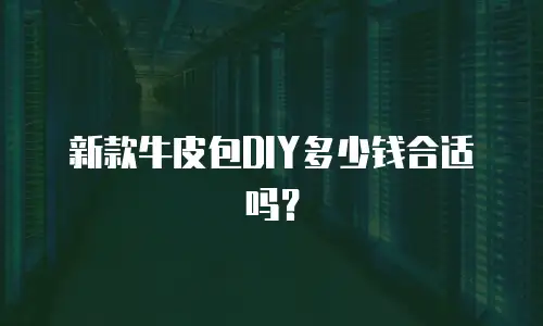 新款牛皮包DIY多少钱合适吗？