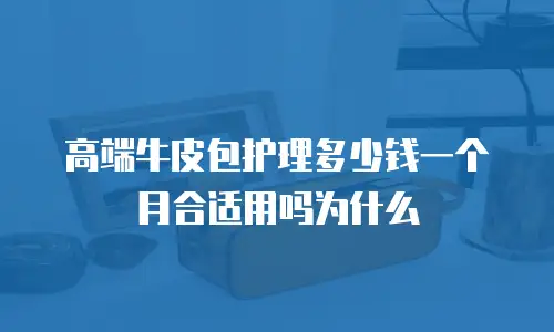 高端牛皮包护理多少钱一个月合适用吗为什么
