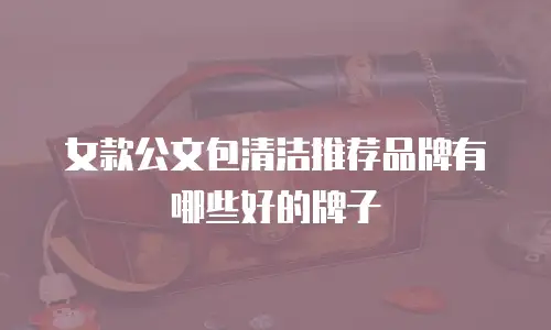 女款公文包清洁推荐品牌有哪些好的牌子