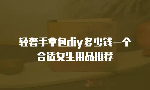 轻奢手拿包diy多少钱一个合适女生用品推荐