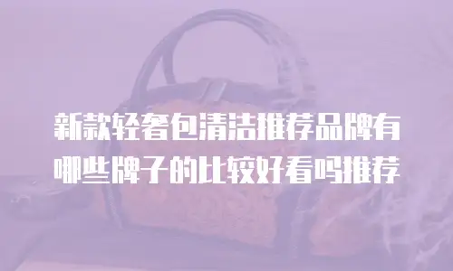 新款轻奢包清洁推荐品牌有哪些牌子的比较好看吗推荐