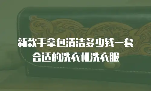 新款手拿包清洁多少钱一套合适的洗衣机洗衣服