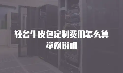 轻奢牛皮包定制费用怎么算举例说明