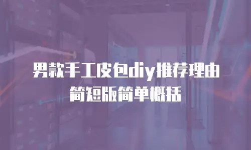 男款手工皮包diy推荐理由简短版简单概括