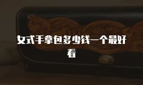 女式手拿包多少钱一个最好看