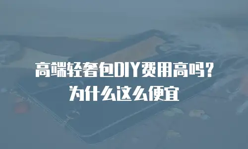 高端轻奢包DIY费用高吗？为什么这么便宜