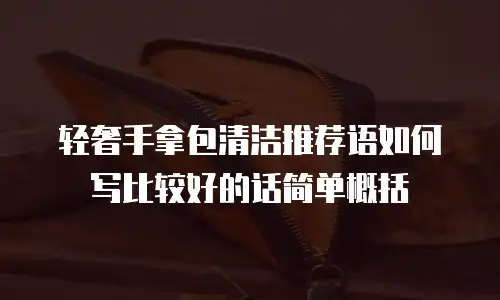 轻奢手拿包清洁推荐语如何写比较好的话简单概括